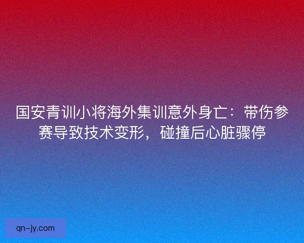 国安青训小将海外集训意外身亡：带伤参赛导致技术变形，碰撞后心脏骤停